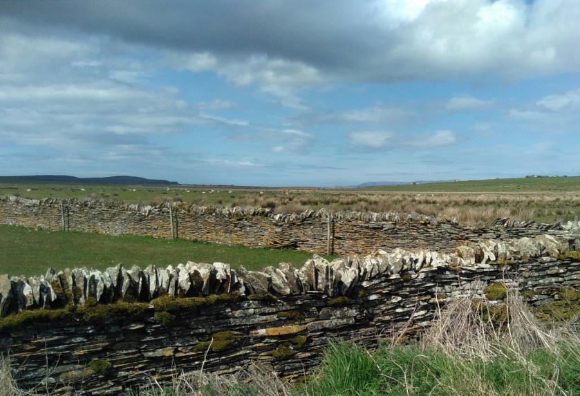 IMG_20160520_141021-1