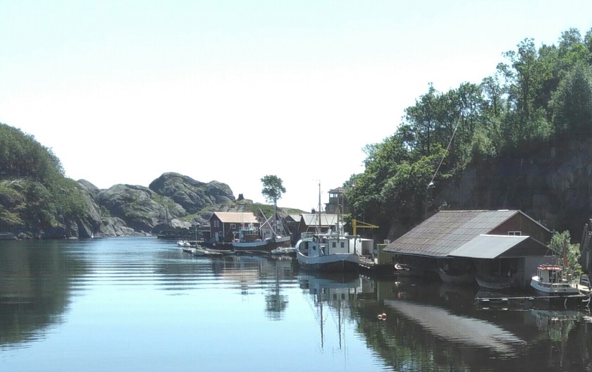 2016-06-05 19.13.30-1