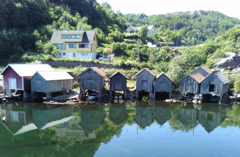 IMG_20160605_134835-1