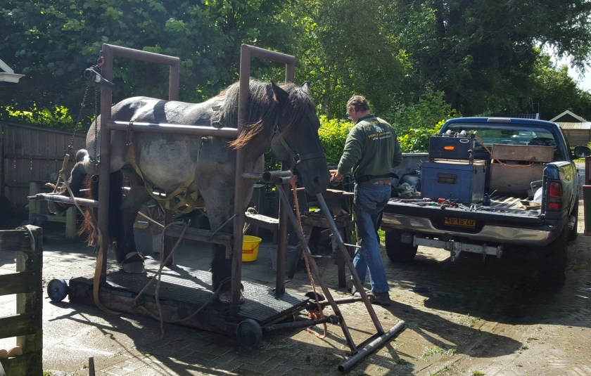 2016-08-10-wierum-hufschmied