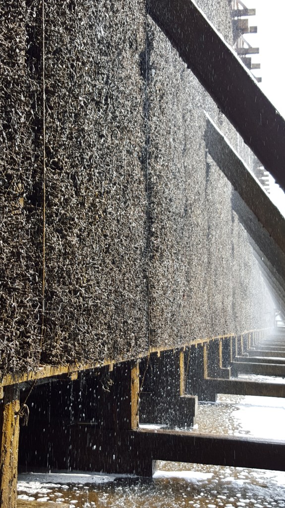 2016-09-09-bad-kreuznach-salinental4